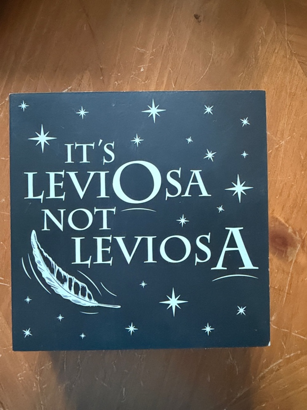 Harry Potter "It's LeviOsa Not LeviosA" Decorative Sign - Black & White